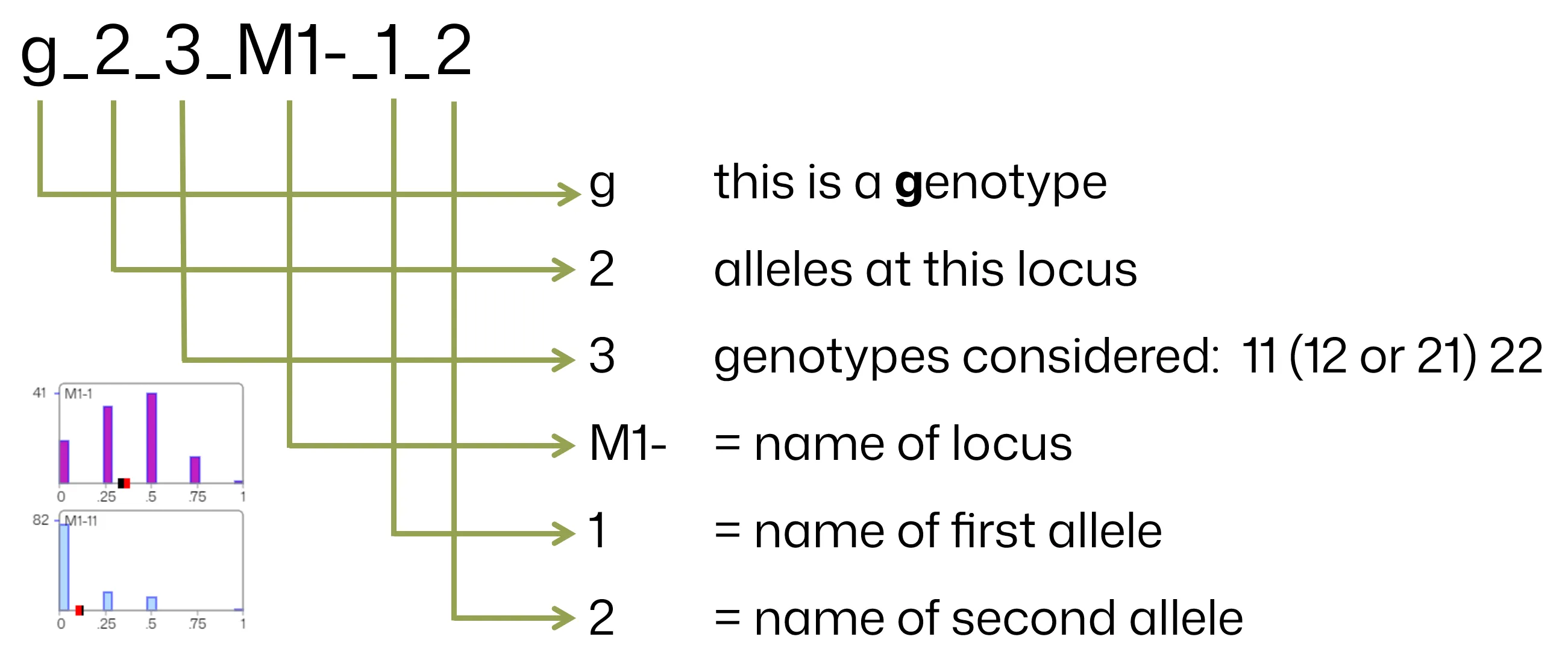 Coding Marker Sample 1