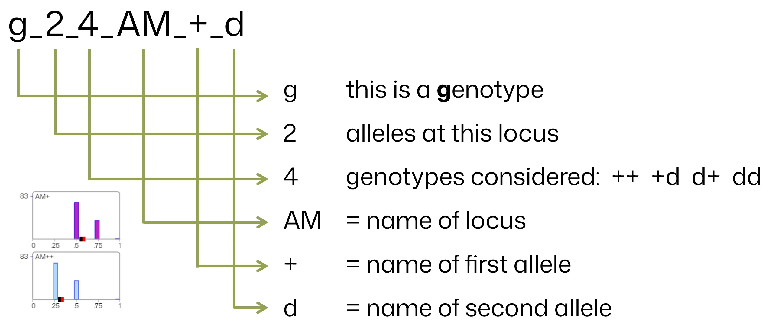 Coding Marker Sample 2
