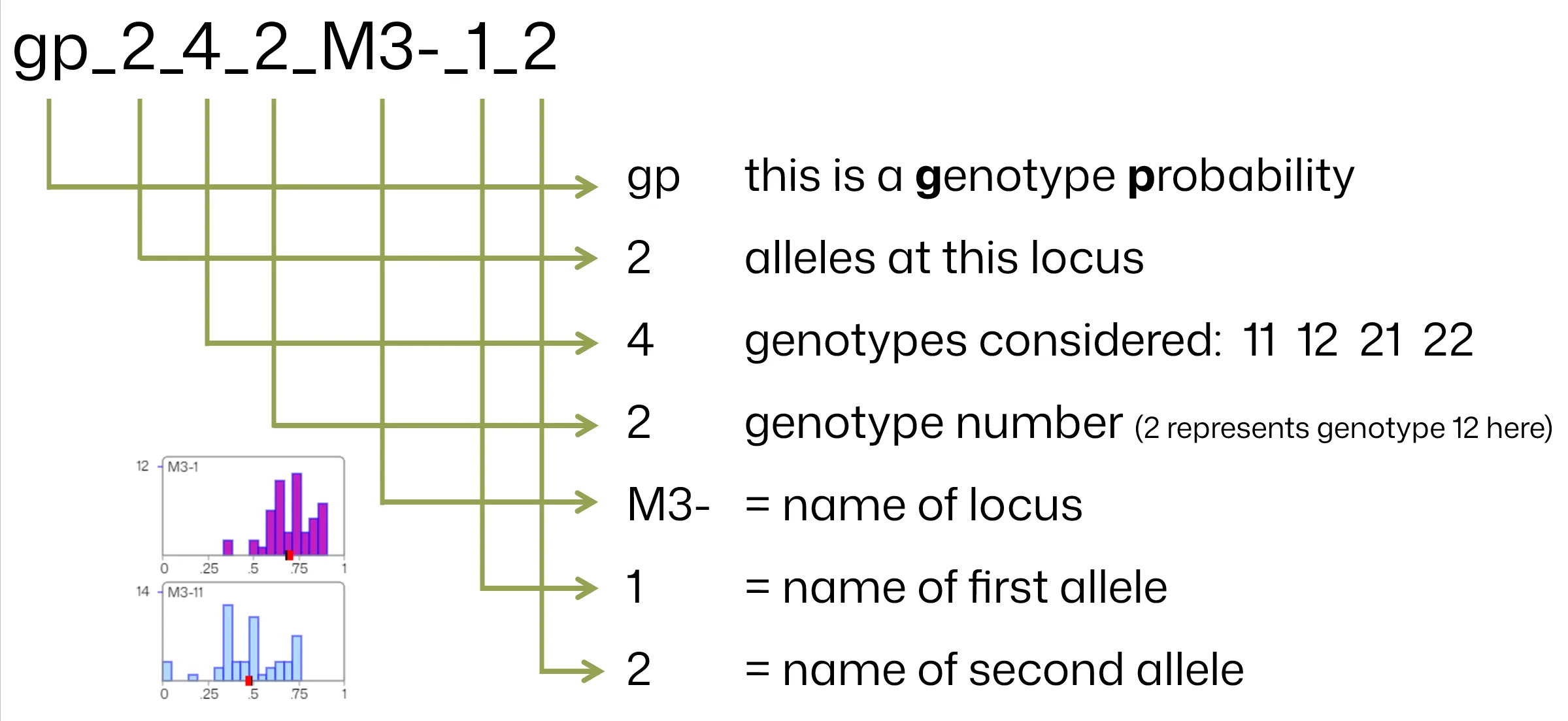 Coding Marker Probability Sample 1