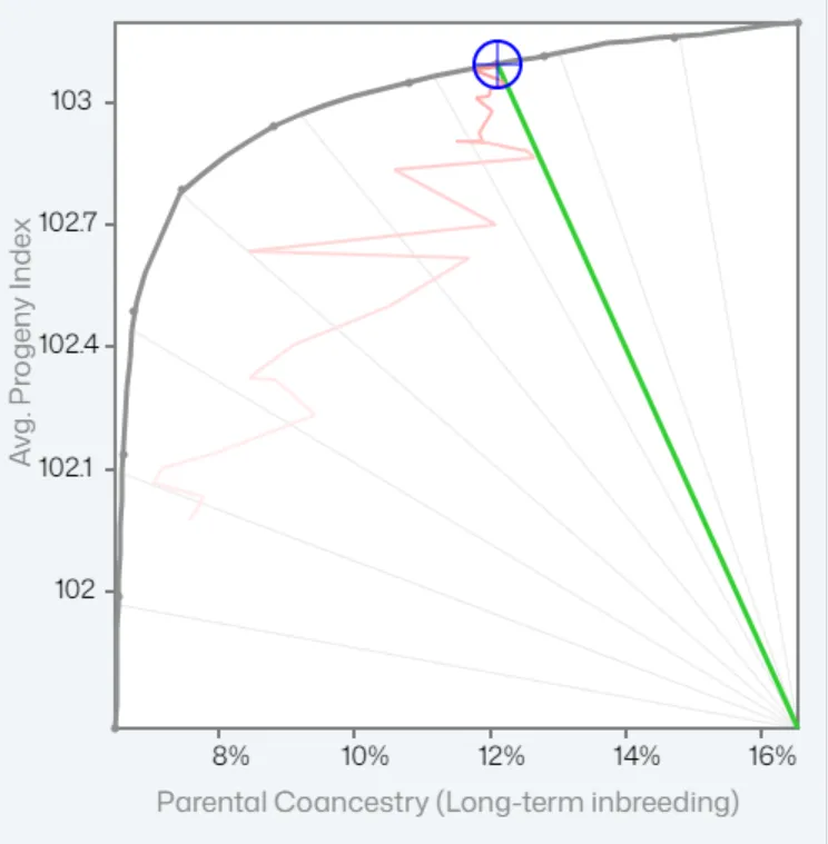 Ideal Frontier Graph