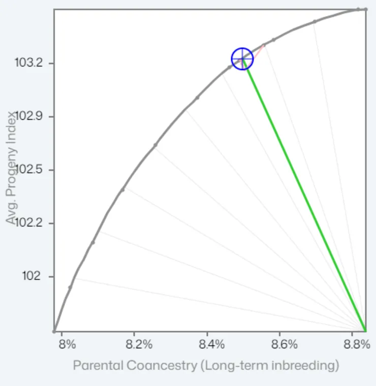 Less Desirable Frontier Graph
